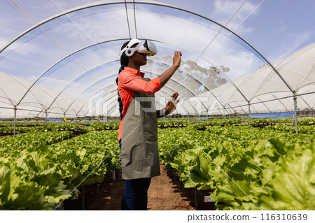 Farmer using VR headset for managing hydroponic vegetable garden in greenhouse Farmer using VR headset for managing hydroponic vegetable garden in greenhouse 116310639