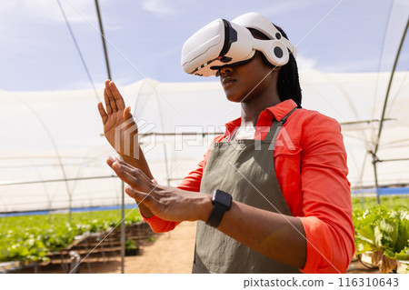 Using VR headset, farmer in apron managing hydroponic farm in greenhouse 116310643