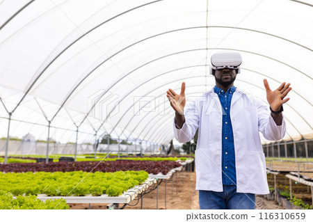 Farmer using VR headset for managing hydroponic vegetable garden in greenhouse, copy space Farmer using VR headset for managing hydroponic vegetable garden in greenhouse, copy space 116310659