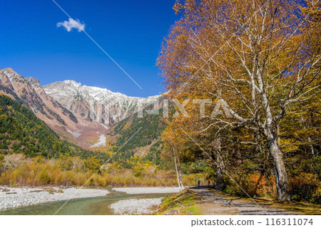 上高地的壯麗景色[2023年秋季]從小梨平露營地看到穗高山脈的壯麗全景 116311074