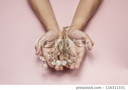 Person holding withered flowers on pink background 116311331