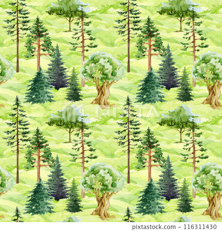 Hand drawn different growing trees seamless pattern. Forest trees seamless pattern. Watercolor illustration. Oak, pine, fir tree, bushes elements. Green lush various plants in natural park landscape 116311430