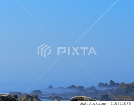 View of Minamiboso coast from the coastline 116311676