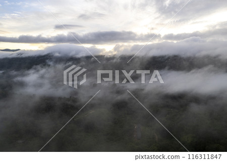 Landscape of Morning Mist with Mountain Layer at north of Thailand. mountain ridge and clouds in rural jungle bush fores Landscape of Morning Mist with Mountain Layer at north of Thailand. mountain ridge and clouds in rural jungle bush fores 116311847