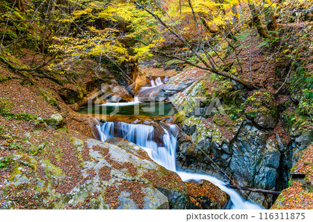 Yamanashi - Autumn leaves in Nishizawa Valley, Mie Falls 116311875