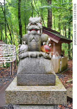 Motoise Kono Shrine, Okumiya, Manai Shrine, Komaryu (Miyazu City, Kyoto Prefecture) 116311926