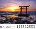 日本海上的日落和鳥居 116312553