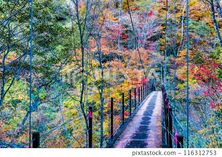 Yamanashi - Nishizawa Valley dyed in autumn leaves, Futamata Suspension Bridge Yamanashi - Nishizawa Valley dyed in autumn leaves, Futamata Suspension Bridge 116312753