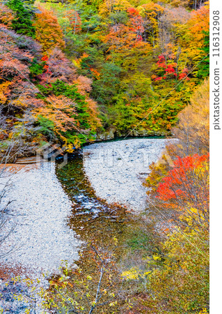 Yamanashi: Nishizawa Valley dyed in autumn leaves 116312908