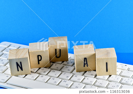 NPUs and AI 116313036