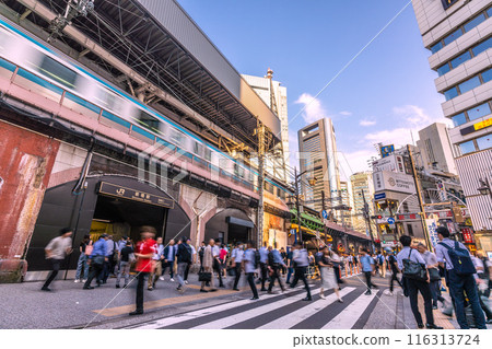 Tokyo cityscape in Japan in July. View of Shinbashi Station (Karasumori Exit) and Shinbashi West Exit Street. Buildings of Shiodome in the background. (July 3rd) 116313724
