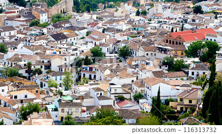 View of the Albaicin district from San Miguel Observatory [Granada, Spain] 116313732