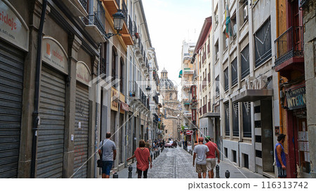 Alley in Granada Old Town [Spain] 116313742