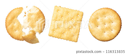 cracker cracker 116313835