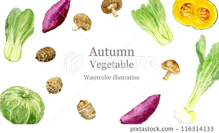 秋天的蔬菜框畫水彩 秋天的蔬菜框畫水彩 116314133