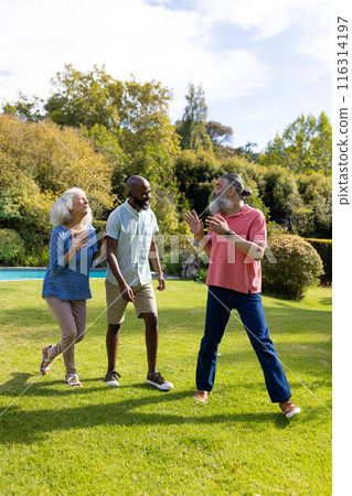 Diverse group of friends walking and talking together in park 116314197