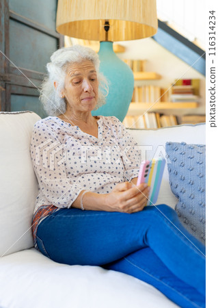 Sitting on couch, senior woman using smartphone and smiling at home 116314234