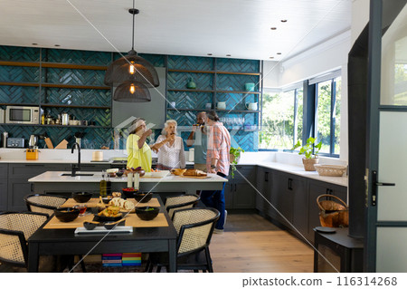 At home, Group of senior friends toasting with wine glasses in modern kitchen At home, Group of senior friends toasting with wine glasses in modern kitchen 116314268