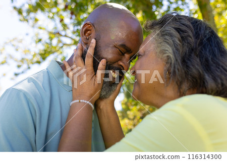 Embracing and smiling, senior couple enjoying tender moment outdoors Embracing and smiling, senior couple enjoying tender moment outdoors 116314300