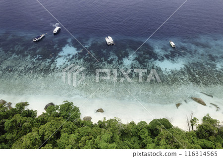 Aerial view of a pristine tropical beach with turquoise waters and lush green forest in the background, swimmers enjoying the clear blue sea 116314565