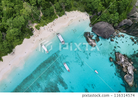 Aerial view of Similan island in Phang Nga, Thailand Aerial view of Similan island in Phang Nga, Thailand 116314574
