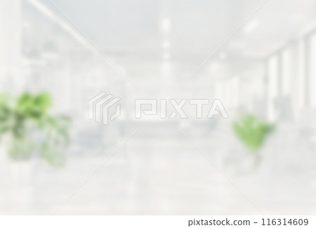 Blurred empty open space office. Abstract light bokeh at office interior background for design. 116314609