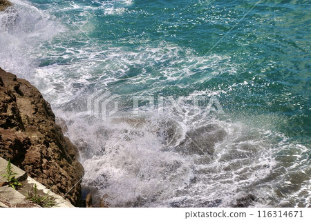 海岸與浪花、東海、開聞岳展望台(鹿兒島縣指宿市) 海岸與浪花、東海、開聞岳展望台(鹿兒島縣指宿市) 116314671