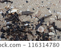 Photo of a dirty beach full of plastic rubbish 116314780