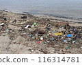 Photo of a dirty beach full of plastic rubbish 116314781