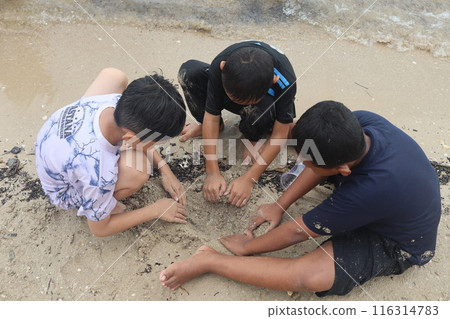 Photo of 3 children playing on the beach 116314783