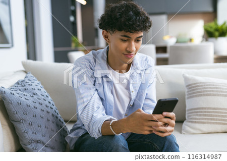 Using smartphone, teenage boy sitting on couch, focusing on screen 116314987