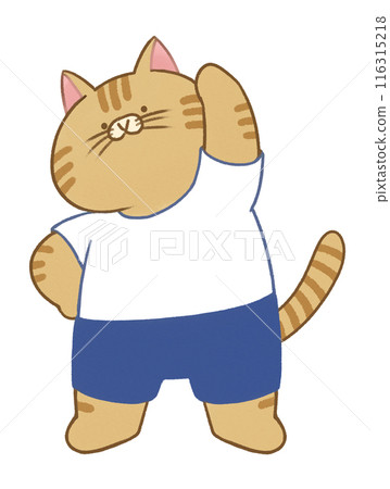 Cat doing radio exercises 116315218