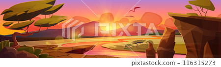 African savannah landscape on sunset or sunrise. African savannah landscape on sunset or sunrise. 116315273