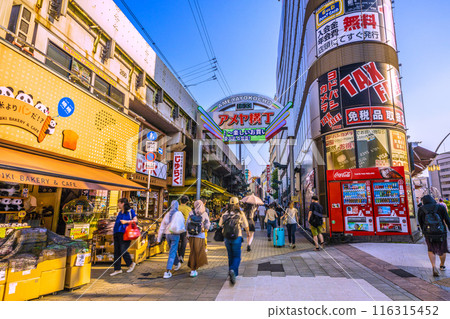 日本東京城市景觀入境旅遊復興...阿美橫町擠滿了外國遊客=2020年7月5日 116315452