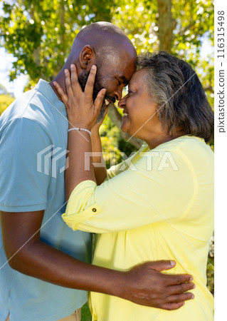 Senior couple embracing and touching foreheads, enjoying tender moment outdoors 116315498