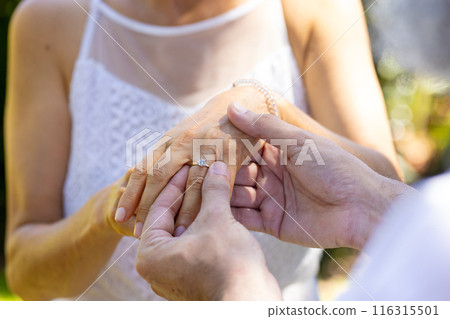 Placing engagement ring on bride's finger, bride and groom at outdoor wedding 116315501