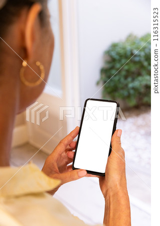 Holding smartphone, woman looking at blank screen in home setting, copy space Holding smartphone, woman looking at blank screen in home setting, copy space 116315523