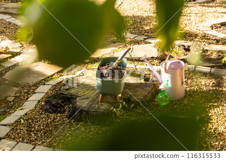 Gardening tools and watering can on tree stump in backyard garden, copy space Gardening tools and watering can on tree stump in backyard garden, copy space 116315533