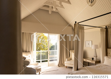 Bright bedroom with canopy bed and cozy seating area near large window, copy space 116315571