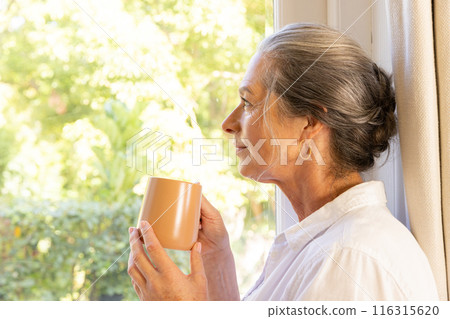 Holding mug, mature woman looking out window, enjoying peaceful moment, copy space 116315620
