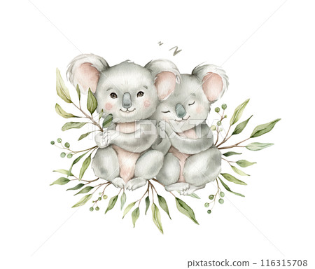 Cute kawaii koalas sitting with green branch eucalyptus and sleeping. Watercolor hand drawn illustration australian animal isolated on background. Cartoon kids print minimalist scandinavian style. Cute kawaii koalas sitting with green branch eucalyptus and sleeping. Watercolor hand drawn illustration australian animal isolated on background. Cartoon kids print minimalist scandinavian style. 116315708