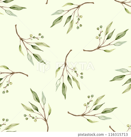 Seamless pattern with green eucalyptus leaves and green berry. Botanical natural print for textile design. Watercolor isolated illustration on light green background. 116315713