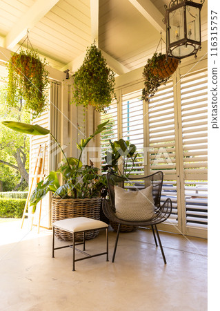 Indoor garden with hanging plants and wicker chair in sunlit room, copy space Indoor garden with hanging plants and wicker chair in sunlit room, copy space 116315757