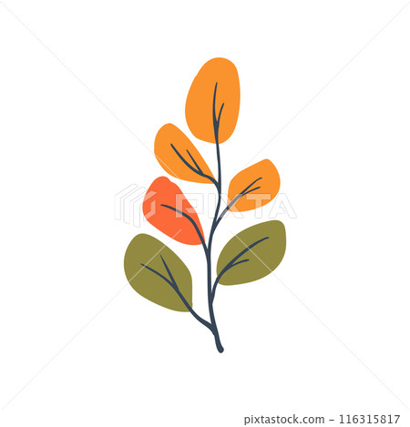 Folk plant. Simple variegated leaves on a branch. Cartoon autumn botany. Minimalist style. Flat isolated vector illustration 116315817