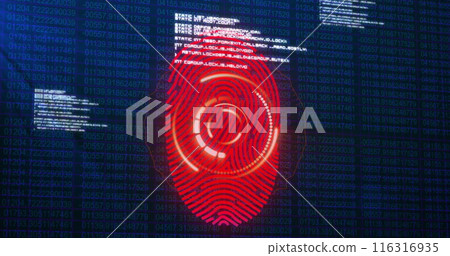 Image of fingerprint scanning and data processing on navy background Image of fingerprint scanning and data processing on navy background 116316935