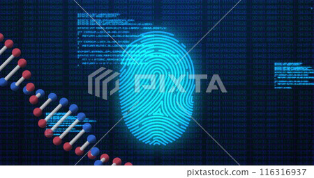 Image of dna, fingerprint scanning and data processing on navy background 116316937