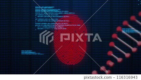 Image of dna, fingerprint scanning and data processing on navy background 116316943