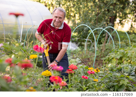 Skilled mature man tending to flower garden with shovel 116317069