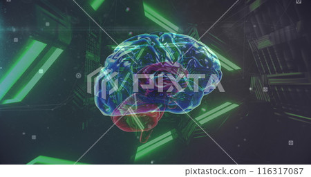 Image of neon lights rotating over brain on black background 116317087