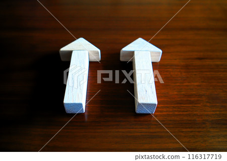 Two parallel arrows building blocks 116317719